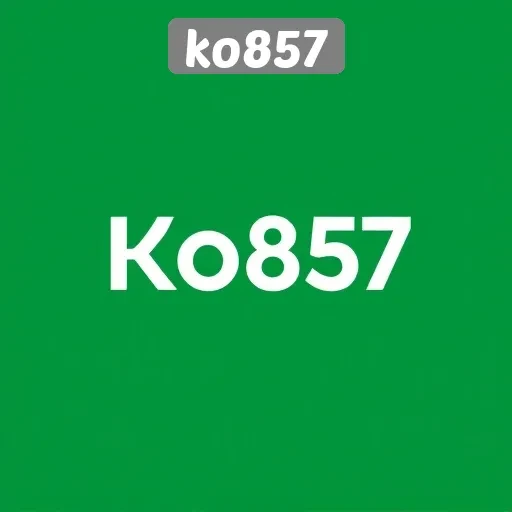 Keamanan Dan Privasi Pengguna Di Platform Ko857